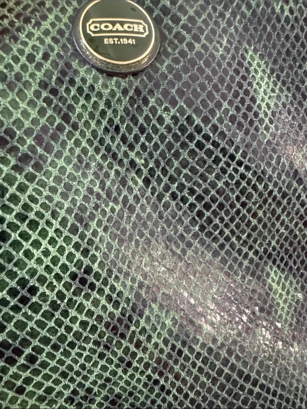 Coach Dark Green Python Snakeskin Print Leather Tech Bag Clutch